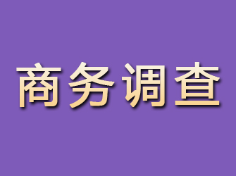 凤翔商务调查