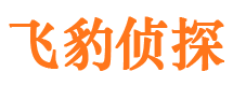 凤翔市侦探公司